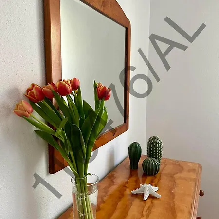 Apartment Rocha & Mar - Da Rocha Portimao